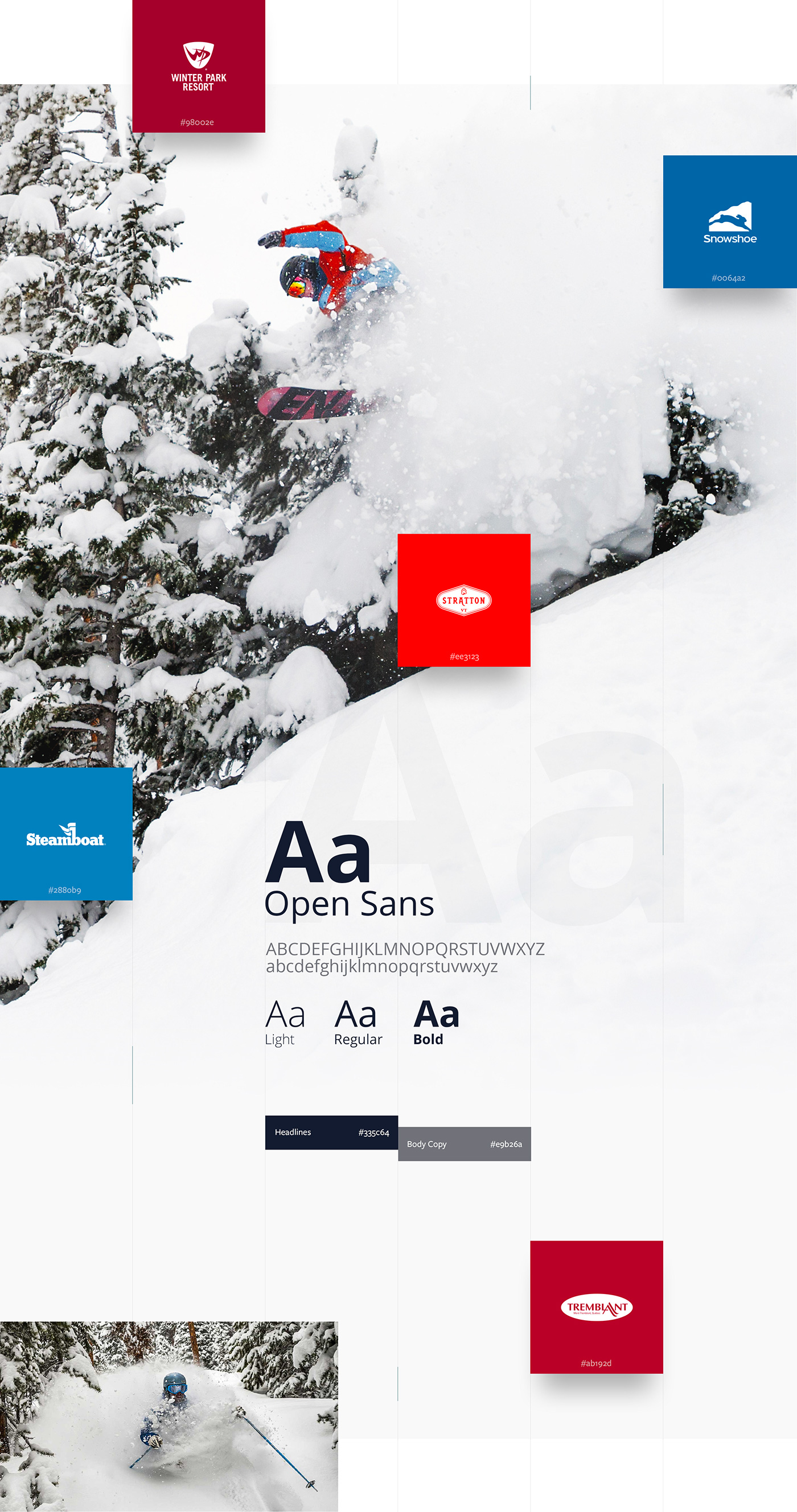 user interface user experience mobile design Ski Resort winter