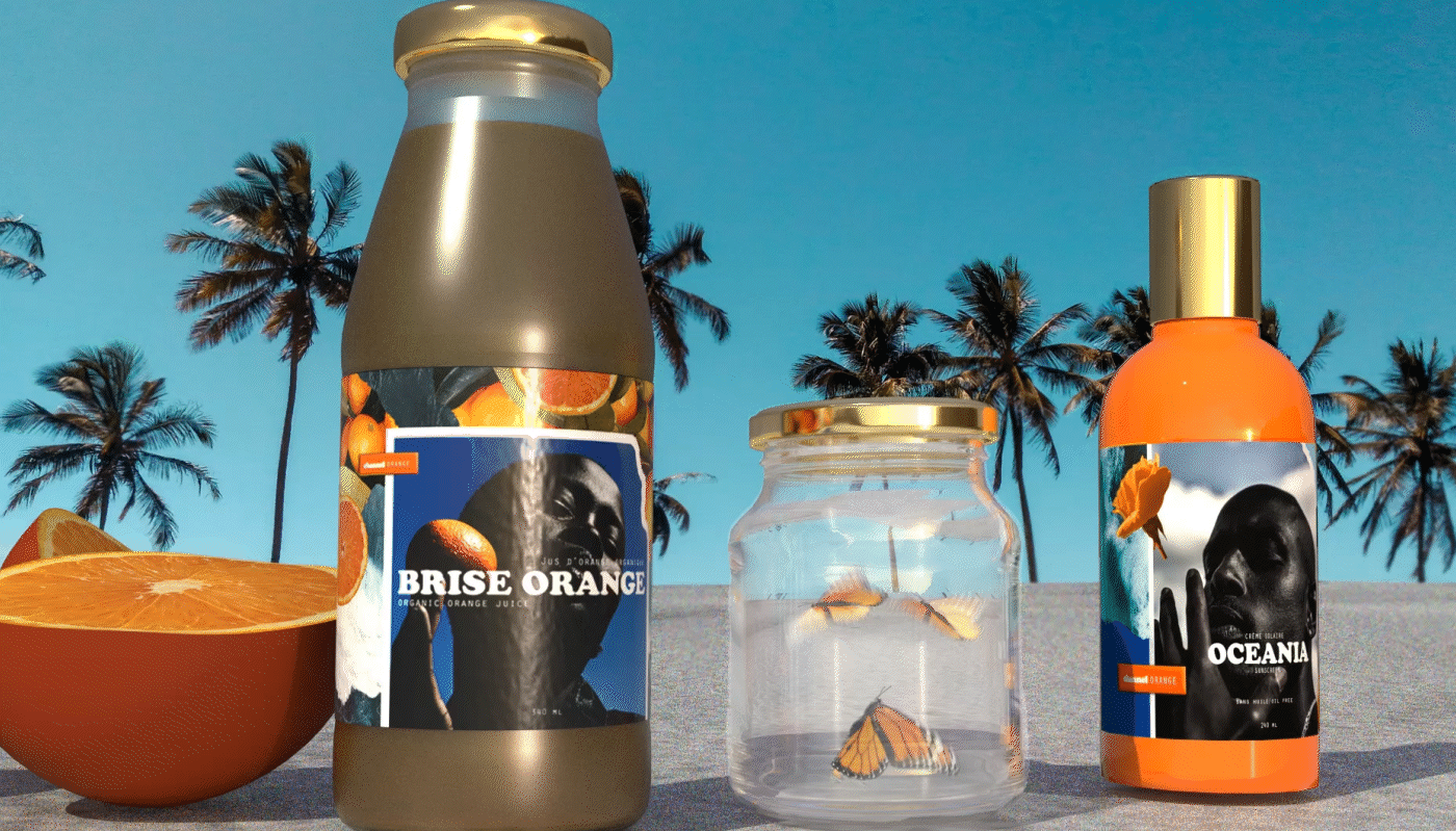 Packaging coffret beauty butterfly brand identity channel orange frank ocean