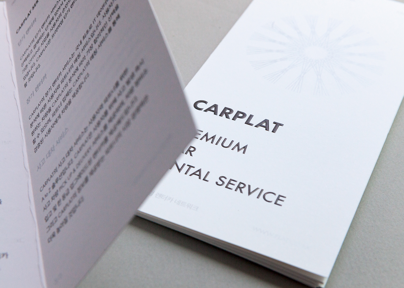 carplat brochure pamphlet silver black car typo paper leaflet inform