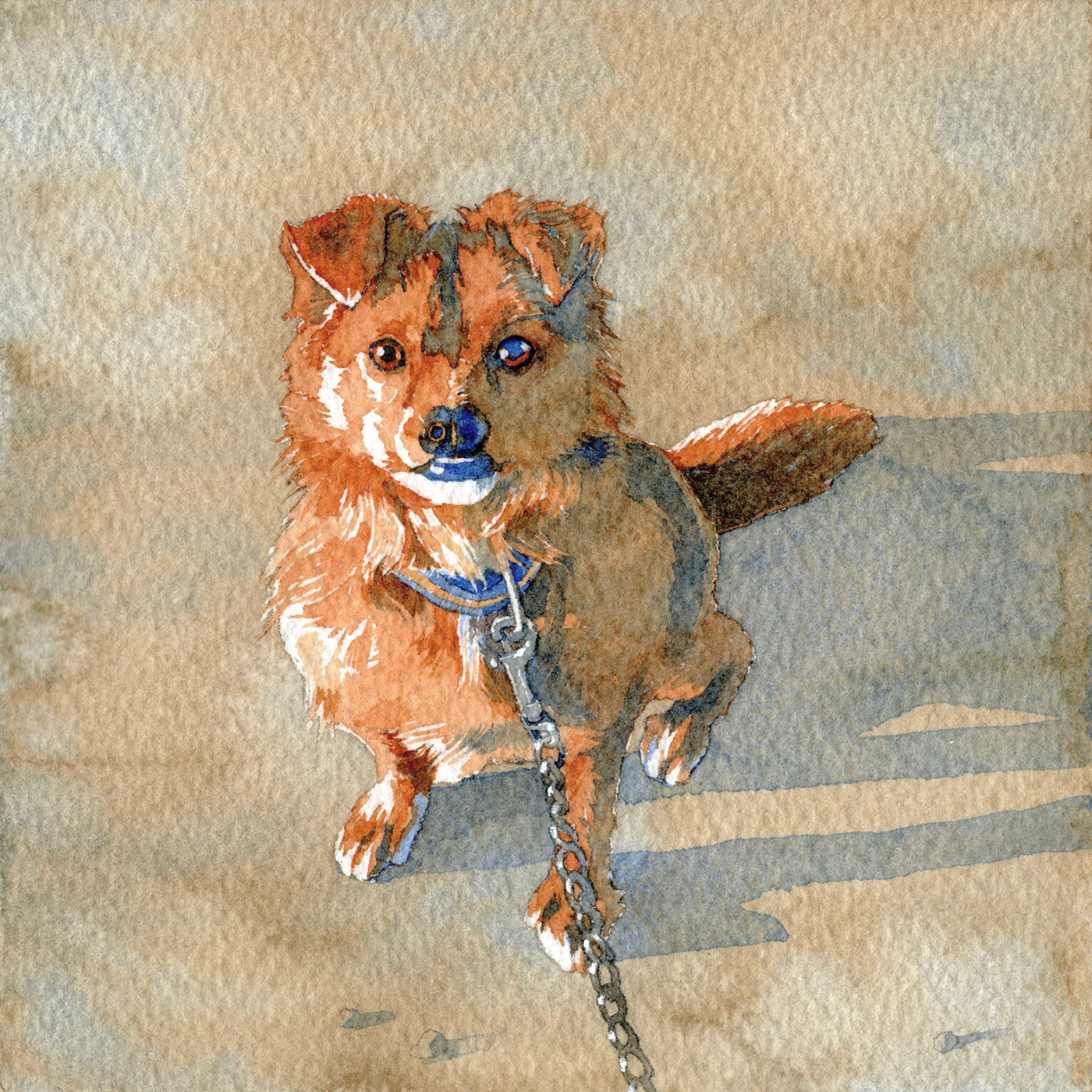 ILLUSTRATION  watercolor Drawing  dog Illustrator