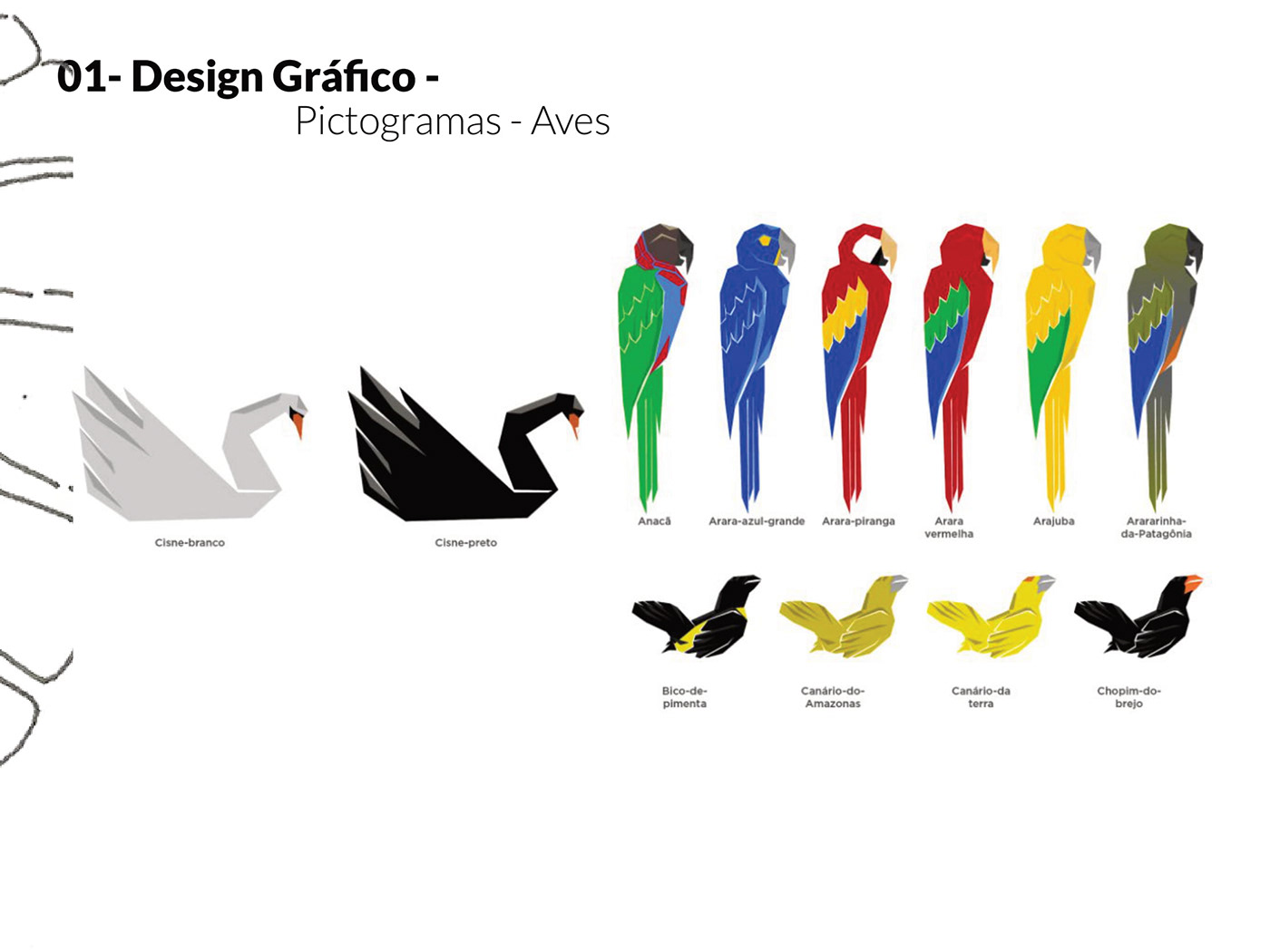 Brasil clean design gráfico graphic design  ILLUSTRATION  Ilustração pictograms portfolio português simple