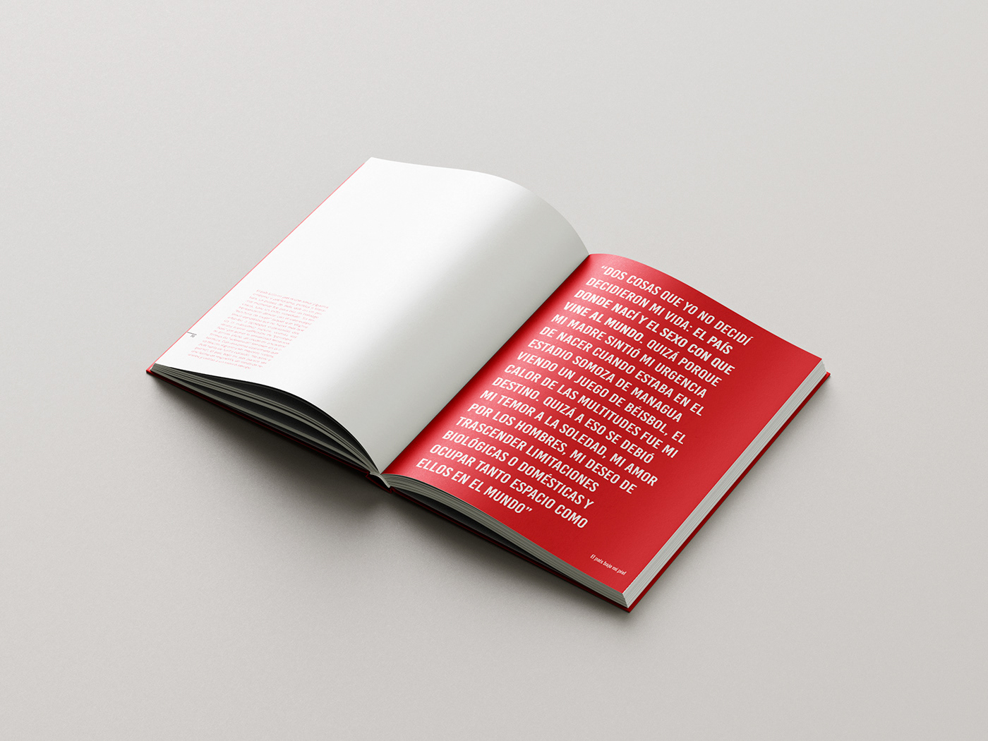 libro Diseño editorial edicion especial