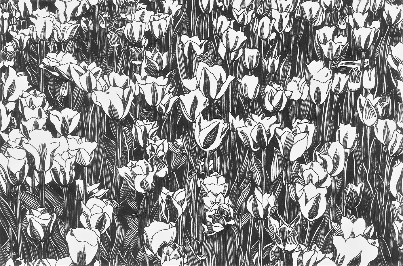 ink drawings floral art nature design Hand made drawings mastery drawing tulips nature patterns decorative art contemporary drawing artwork on paper