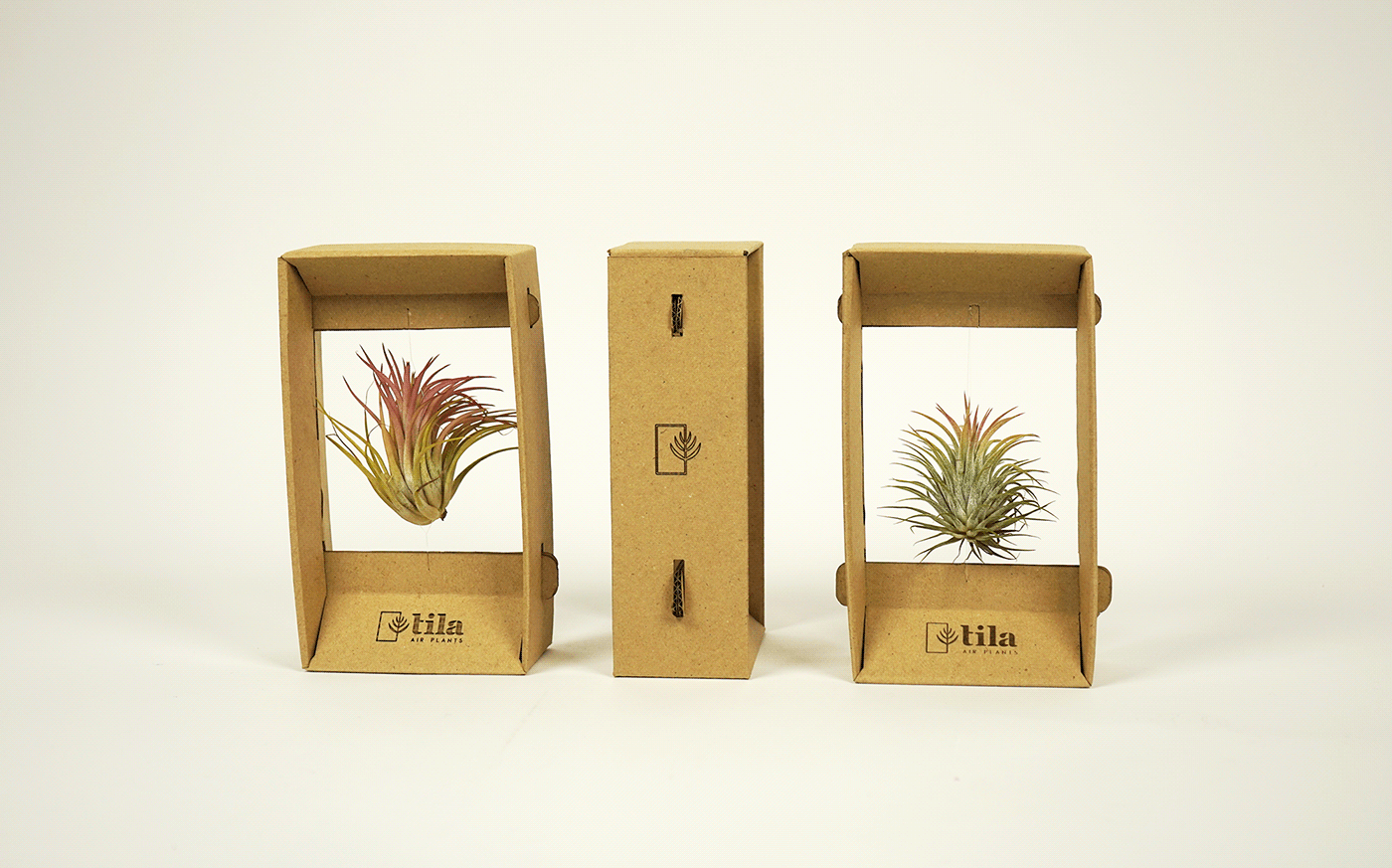Plant minimal eco air natural Packaging laser dieline carton reciclable
