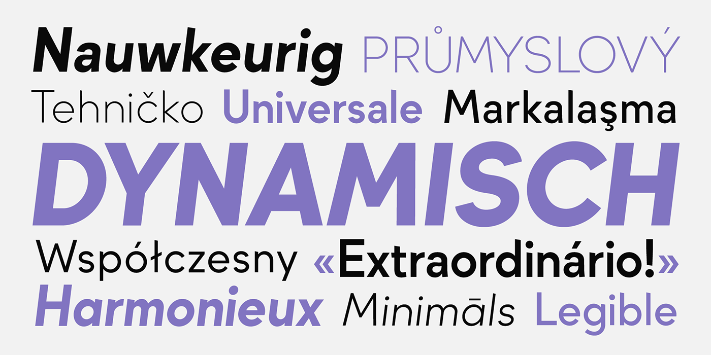 Font family weights and styles: neutral, bold, italic