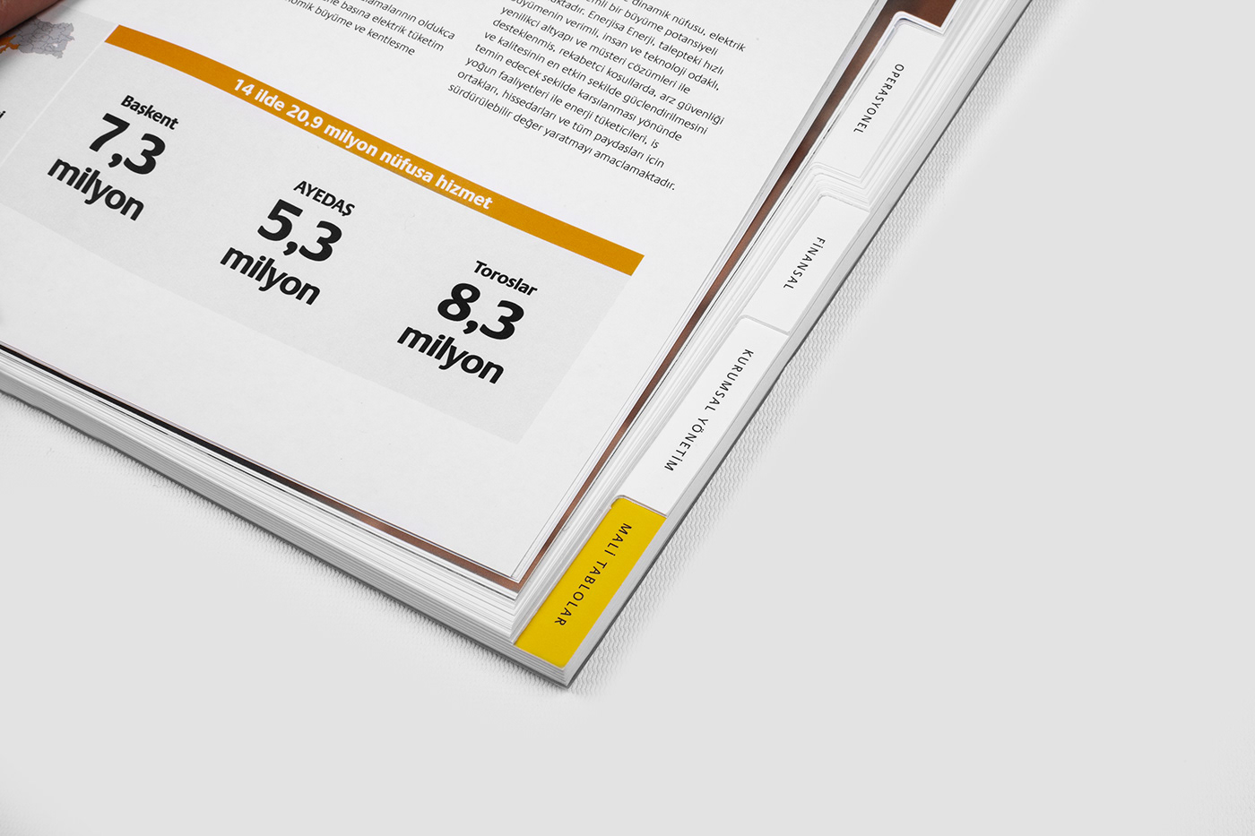 ANNUAL report editorial design brand energy cover print pantone book