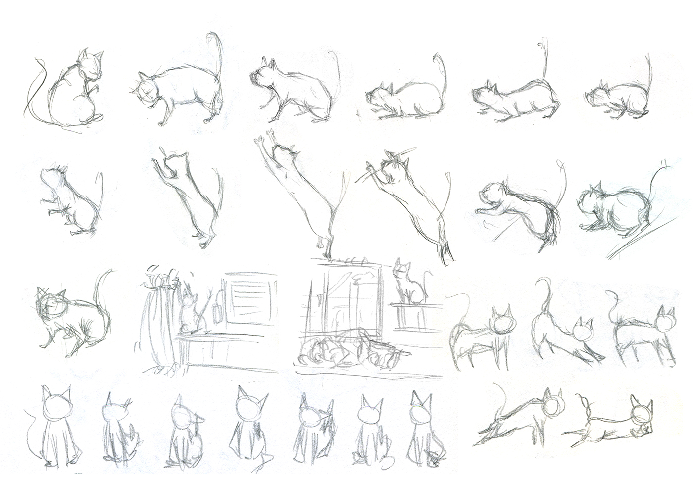 Cat Pet sketch animal Draft