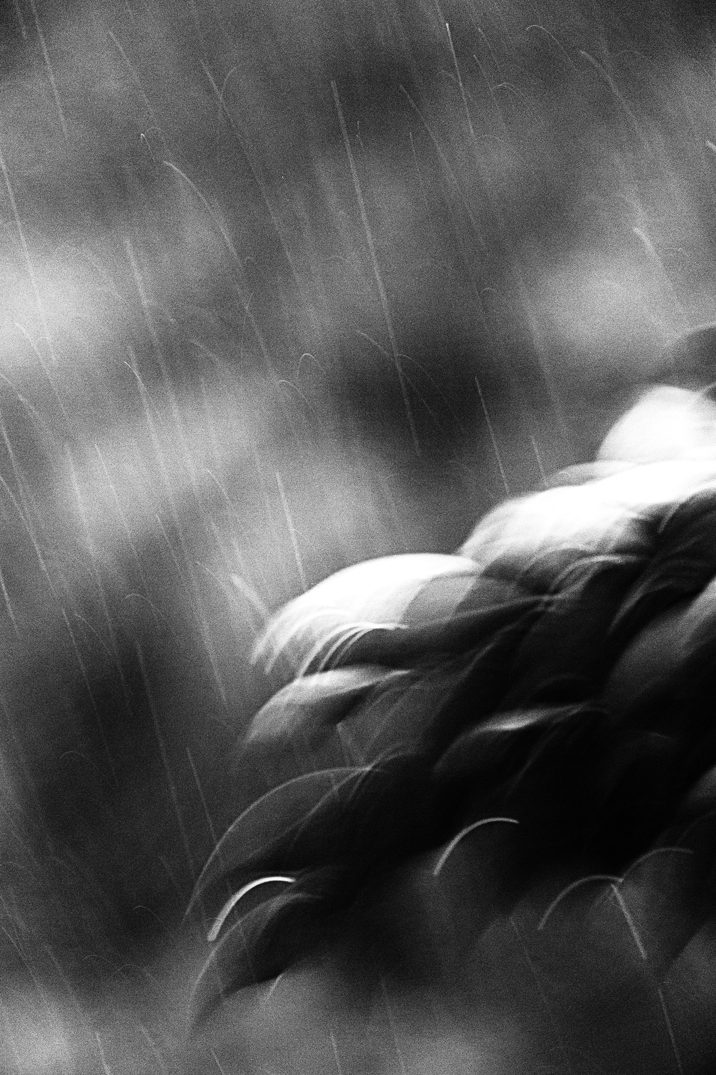 abstract black and white droplets long exposure motion particles rain Slow motion texture water