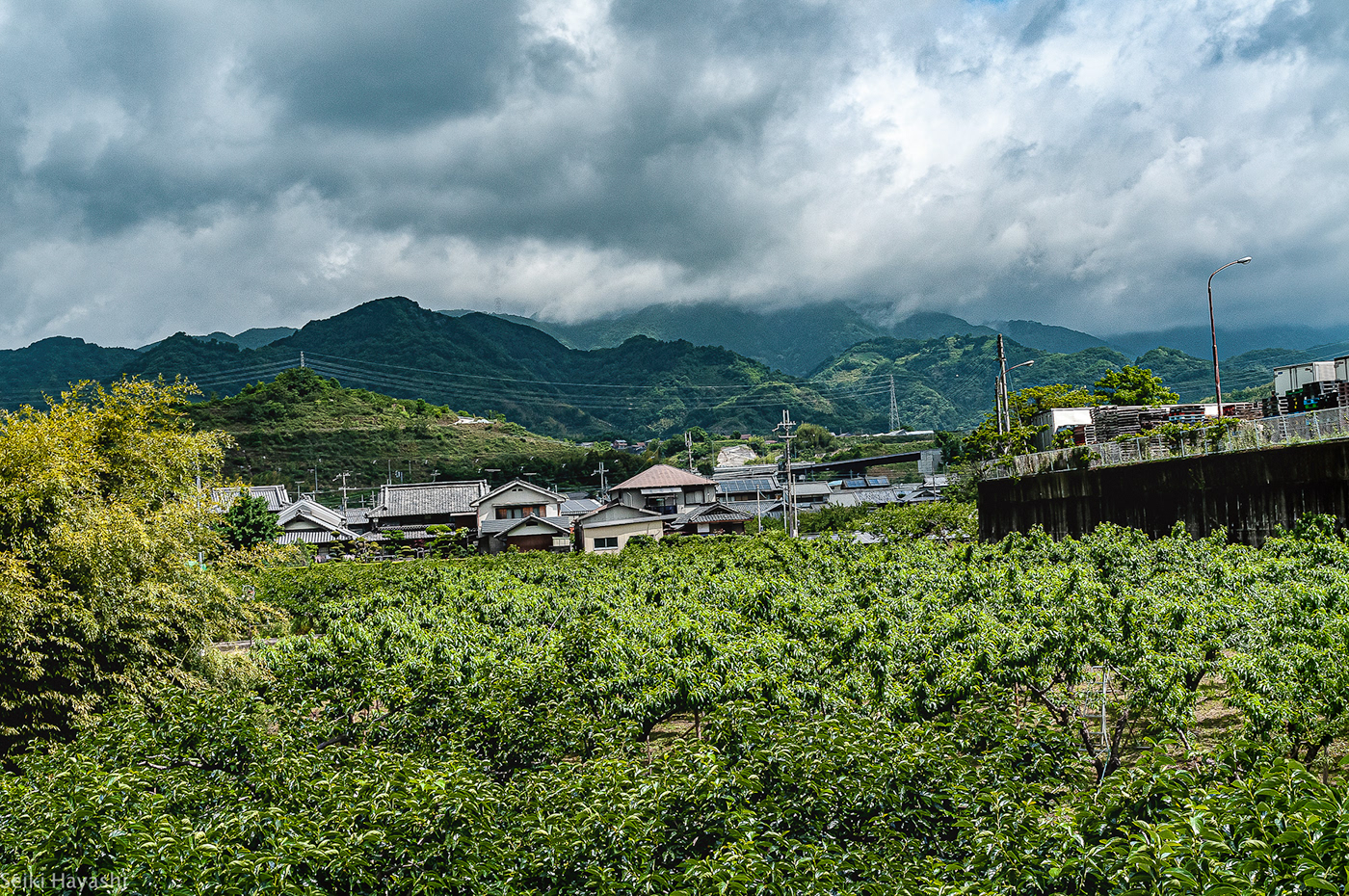 North Wakayama wakayama countryside kansai Localcity