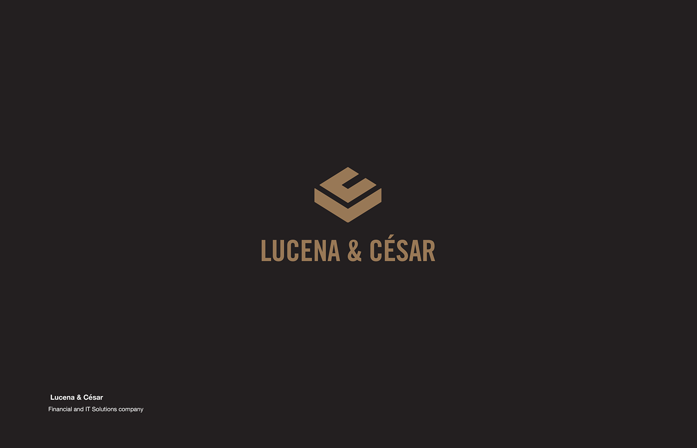 logo Logotype brand brandign identity