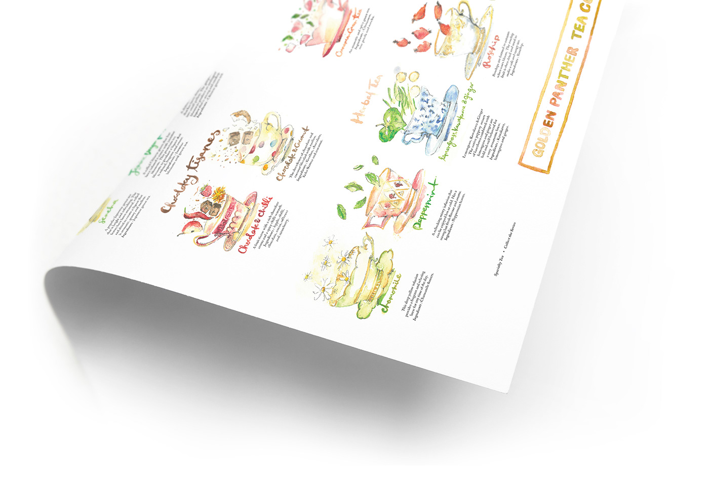 watercolor ILLUSTRATION  menu design HAND LETTERING lettering print design  Layout Design