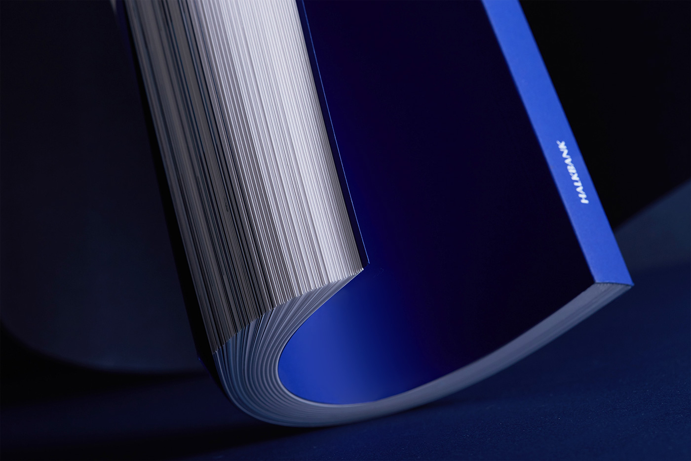 ANNUAL report editorial book blue design typography   Indigo corporate Kiosk