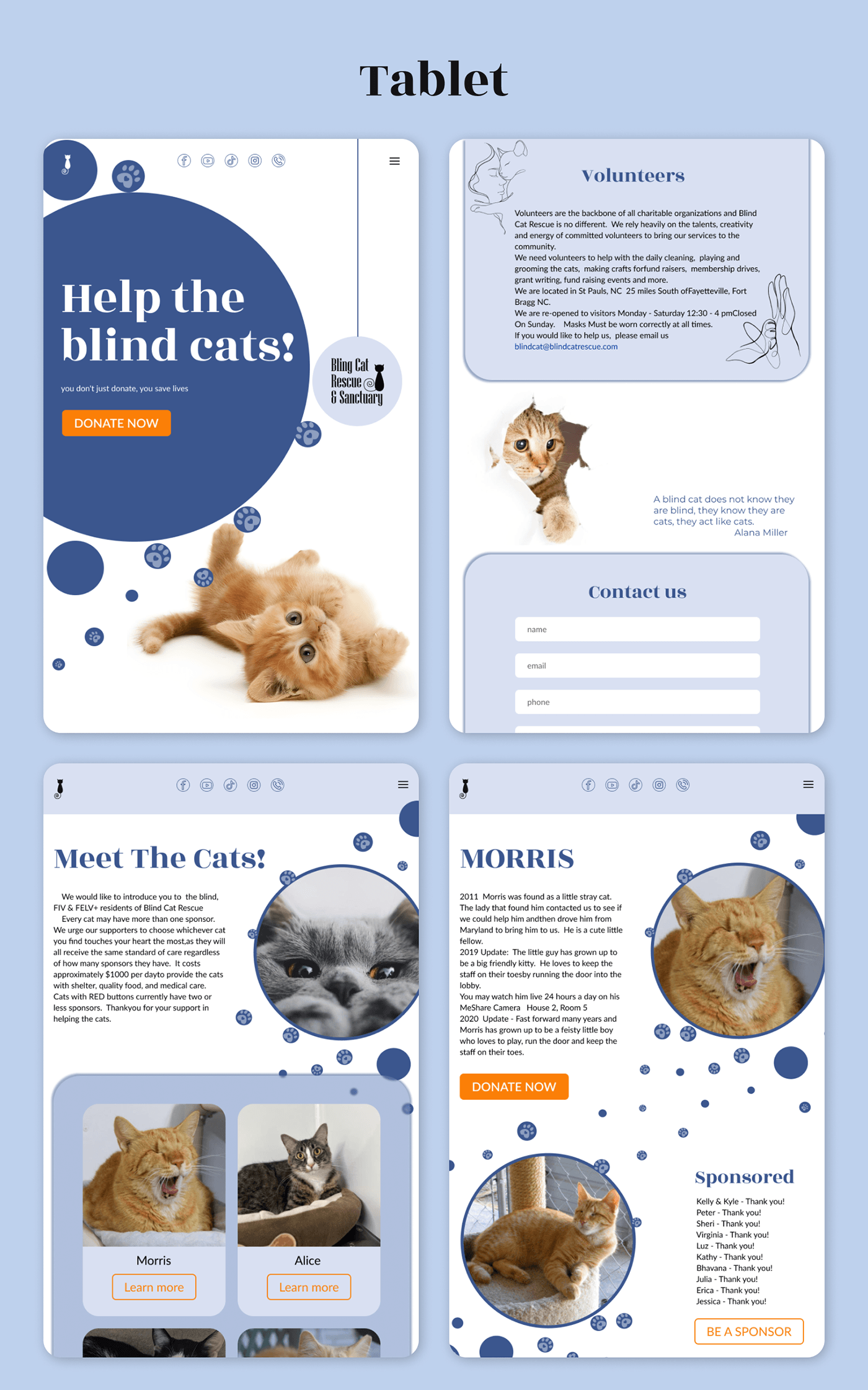 редизайн сайта тварини сайт веб-дизайн Figma UI/UX design котики Cat притулок для котів