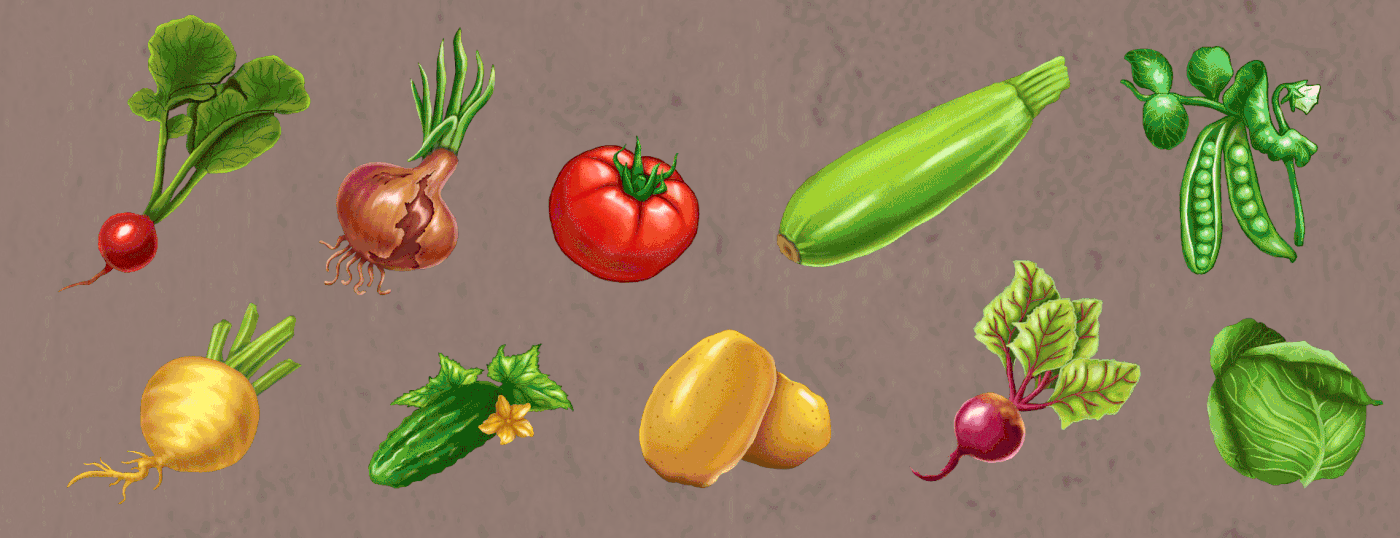 детская книжная иллюстрация иллюстрация овощи цветы детская иллюстрация животные иллюстрация на заказ Настолка настольная игра