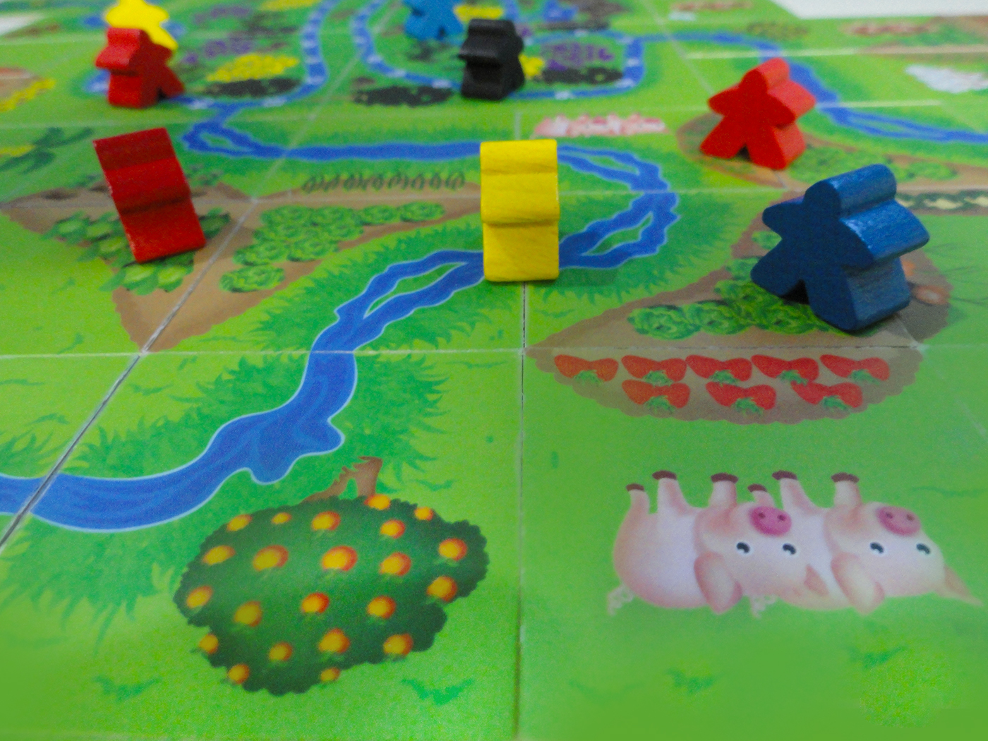 board game game biomimicry permaculture Nature child kids tabletop jogo natureza
