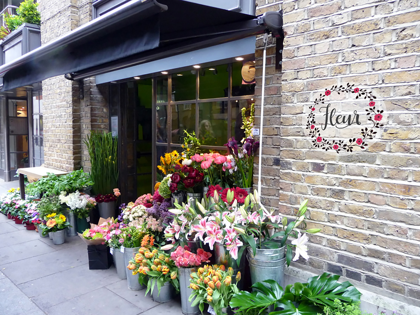 branding  Flower Shop typography  