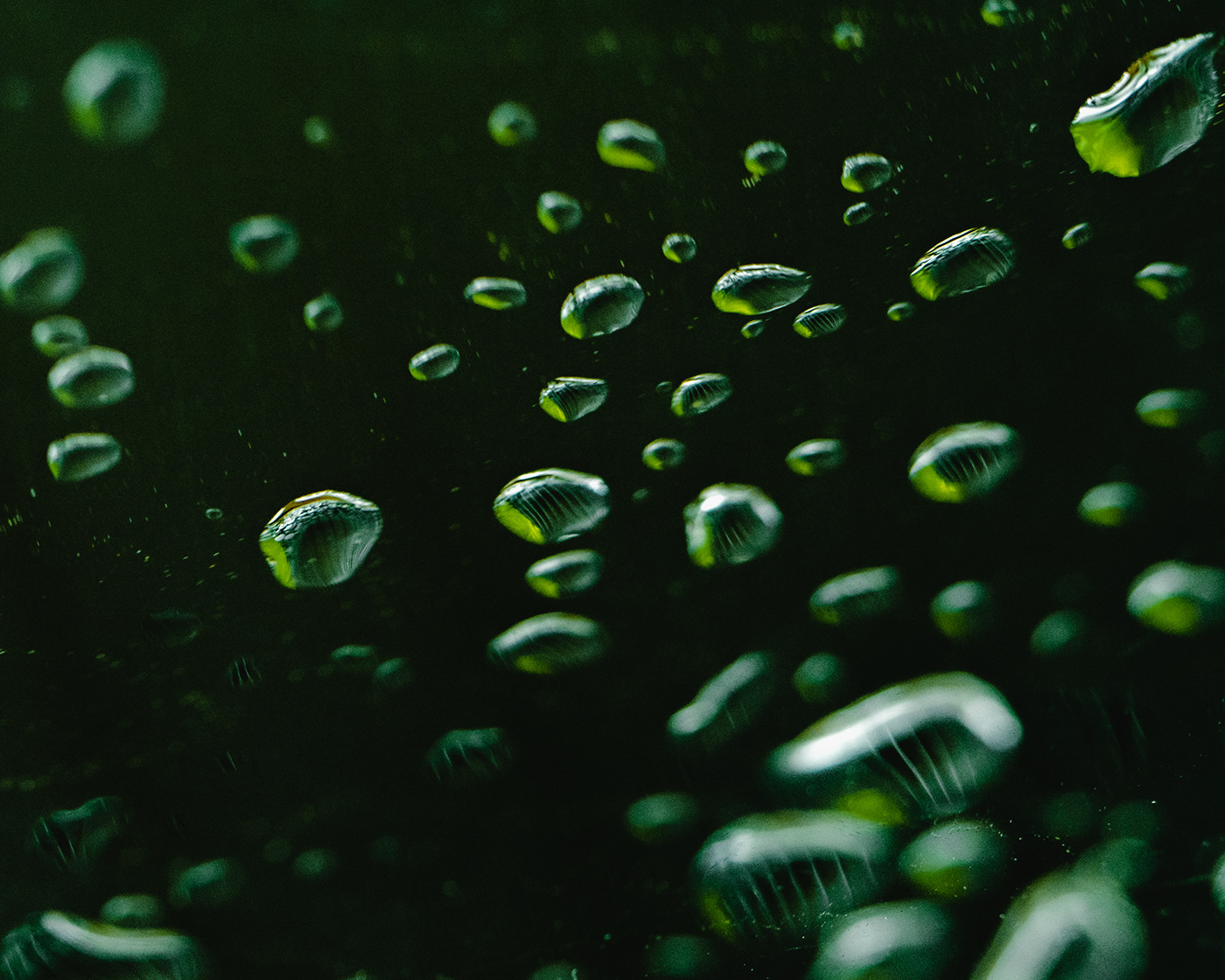 rain macro Patterns drops water lightroom Photography  Nature green Macro Photography