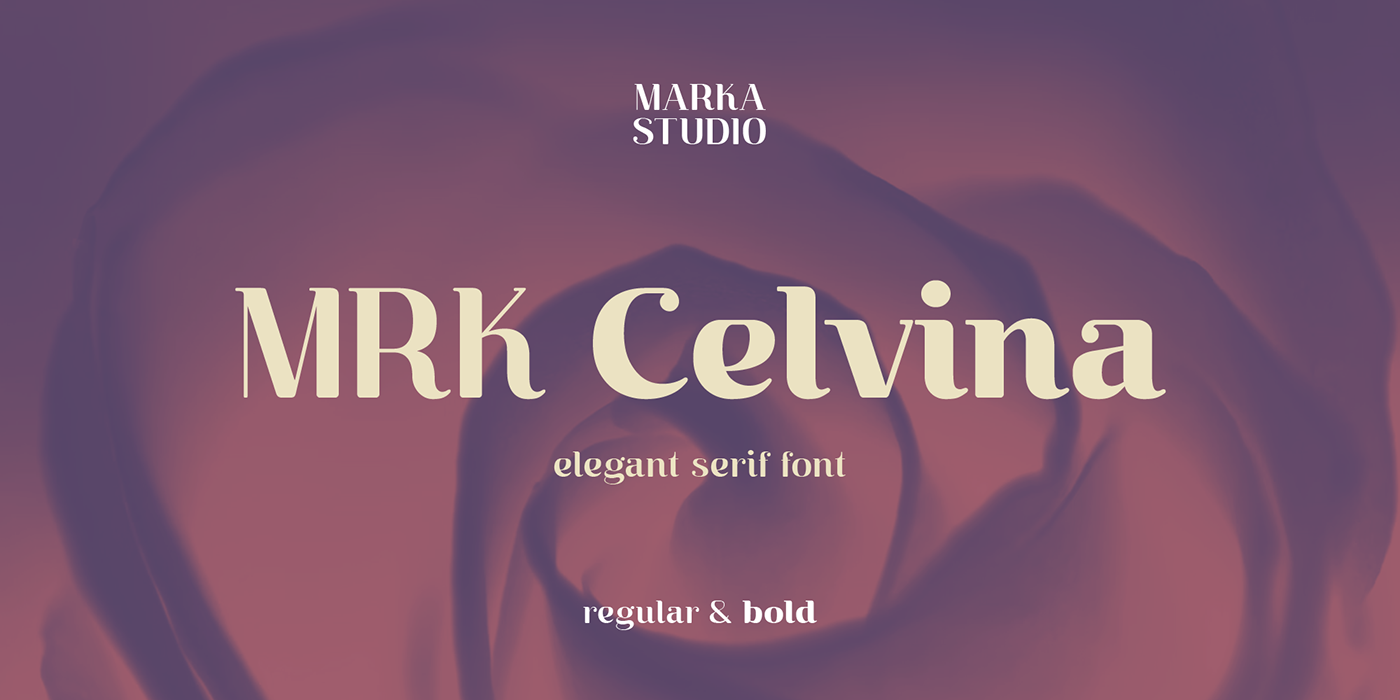 brand identity display font elegant font font design logos modern font Packaging Typeface typography   visual identity