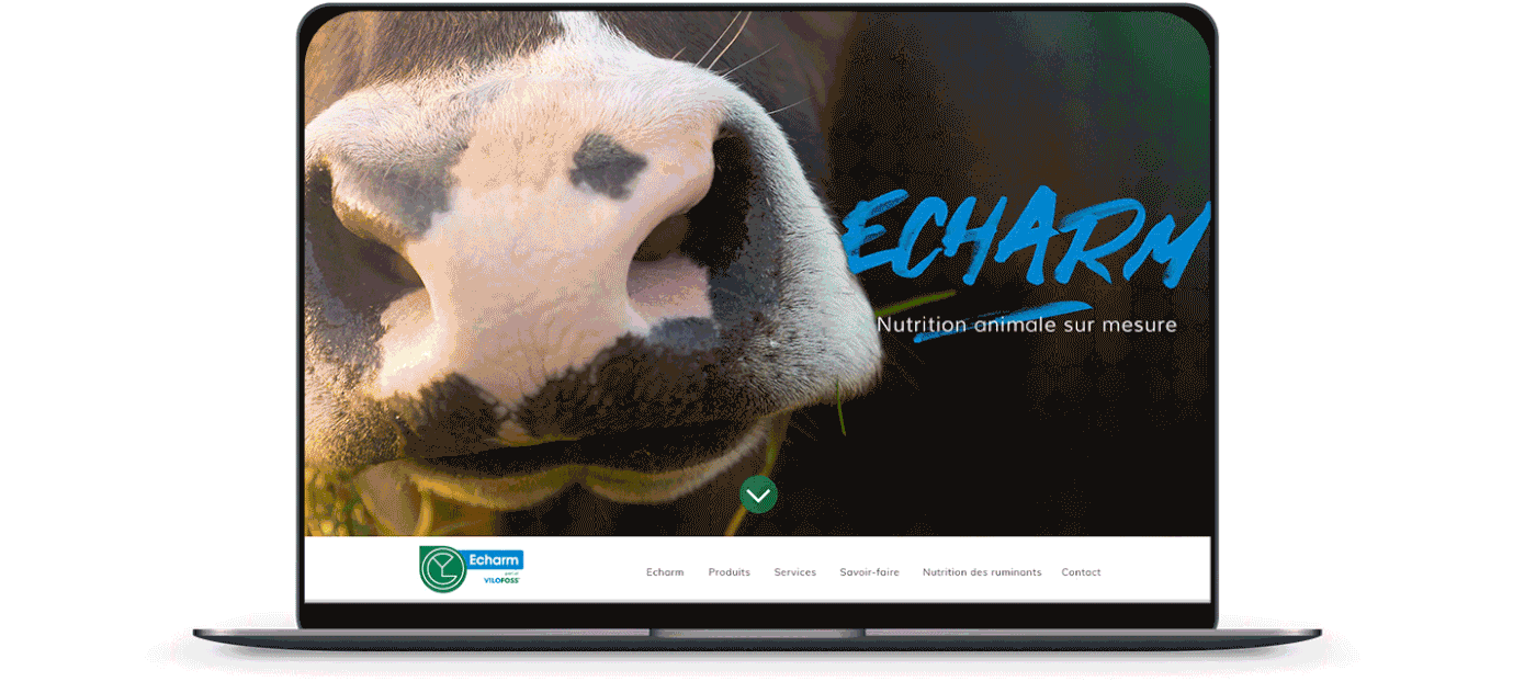 UI ux typography   design Webdesign Food  animals farmer Photography  cow