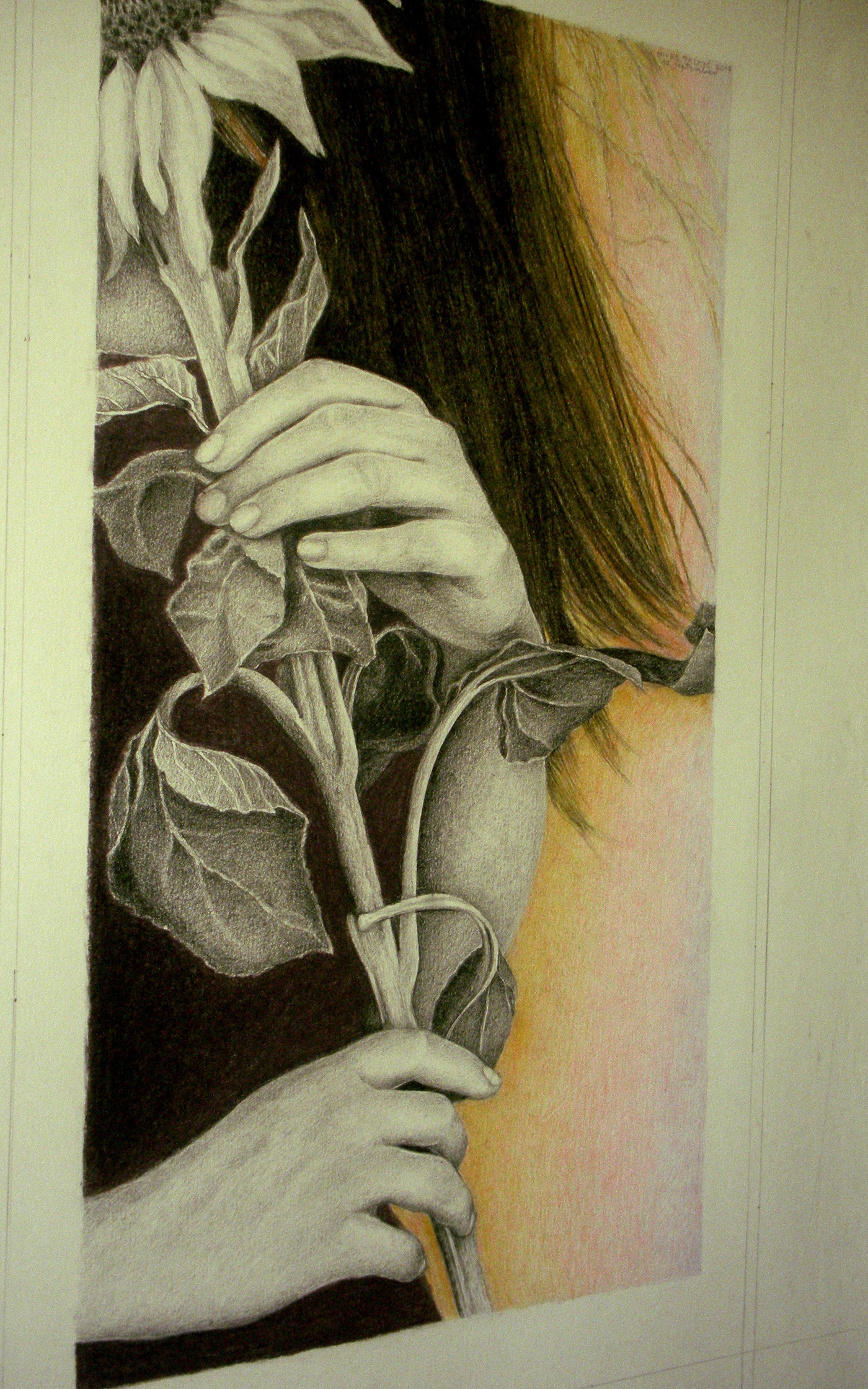 original drawing graphite pastel hands portrait girl sunflower nature beauty colored pencils female