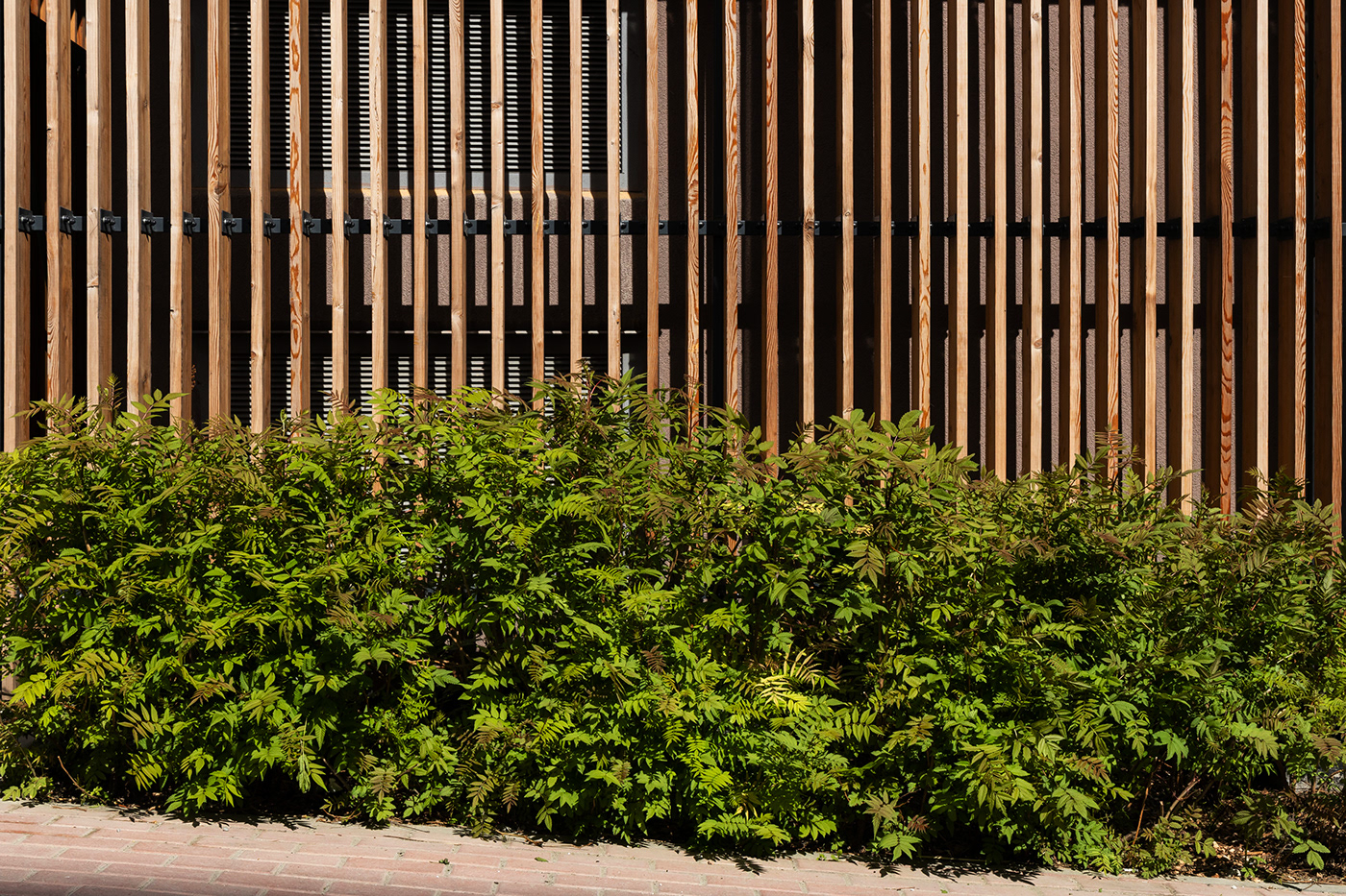 landscaping architecture green garden architectural design exterior