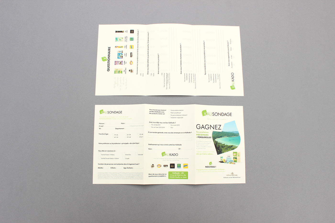 accordeon brand brochure corporate flyer paper products sondage survey tri-fold