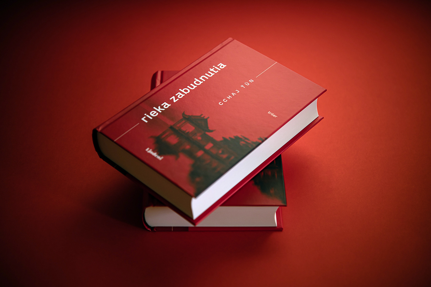 book cover typography   editorial bookcover graphic design  book design LINDENI minimal