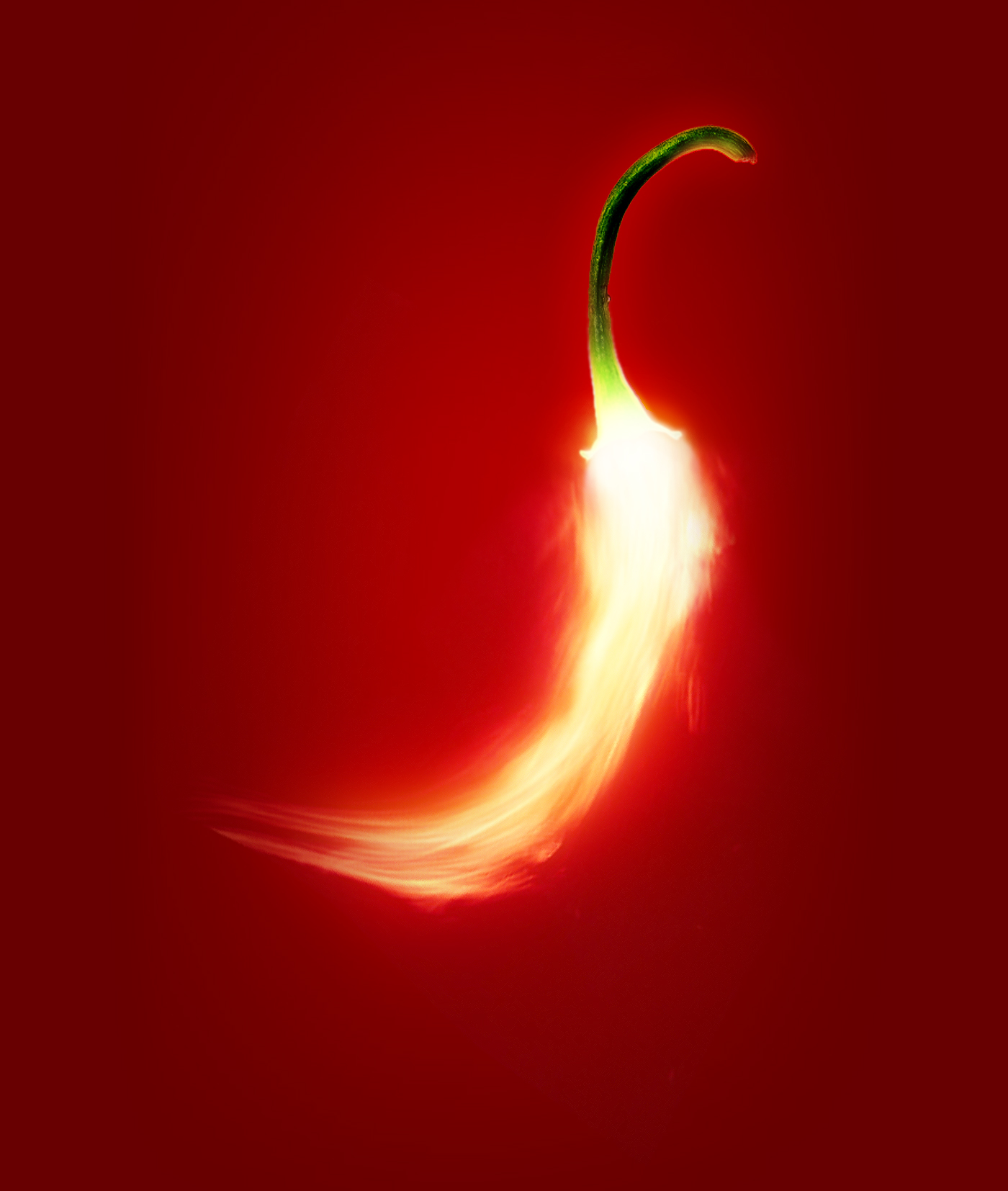 Chili Pepper digital illustration photo editing Photo Retouching spicy Kirio HIBO