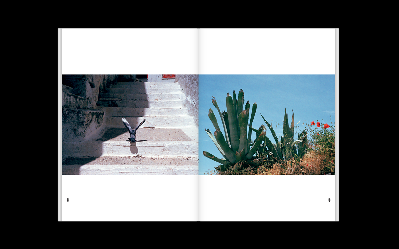 editorial Greece book TINOS cartes postales fetanis typography   Photography 