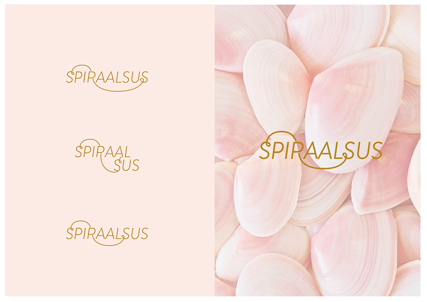 logo spirality pink feminine light line