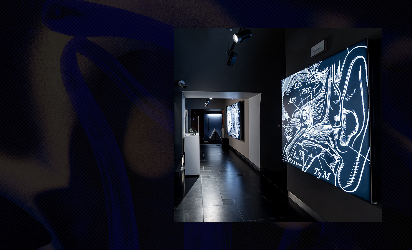 abstract artwork Chopin digital illustration Exhibition  gradient museum museum exhibition music typography  