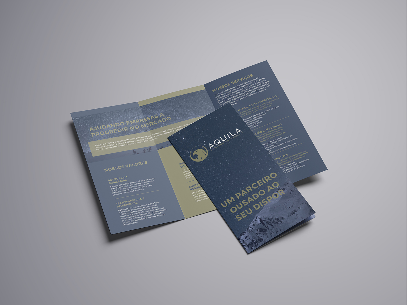 branding  graphic design  eagle blue gold stars Corporate Identity Stationery Constellations