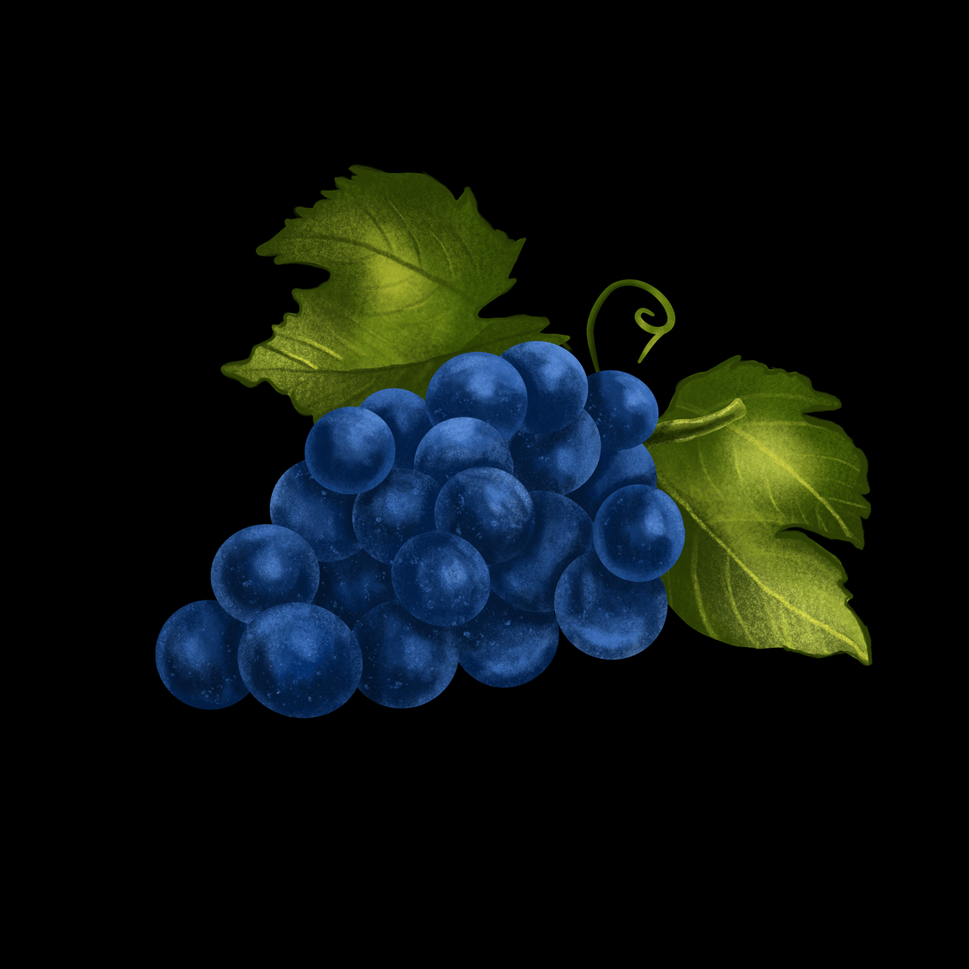 grape арт Fruit Procreate