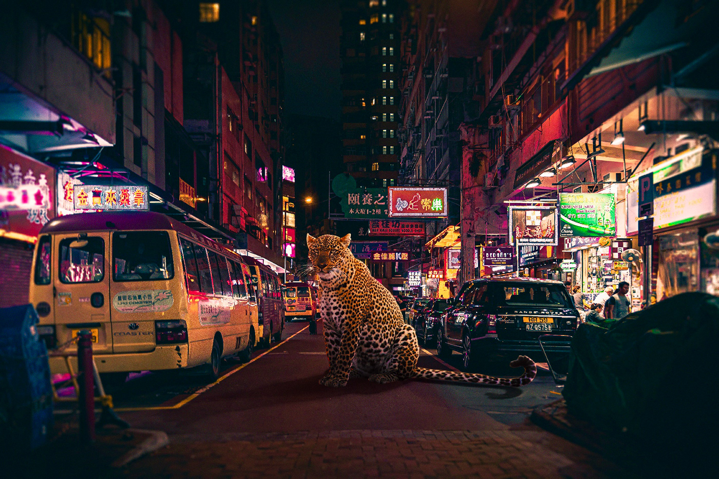 Photo manipulation of animals in a cyberpunk place. Retouching and photo compositing with Photoshop