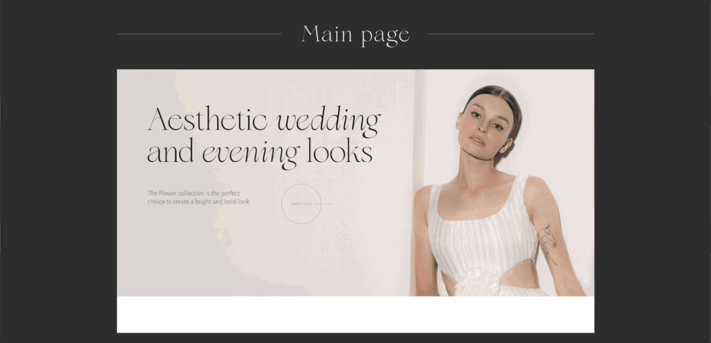 Ecommerce Web Design  landing page beauty Fashion  Clothing fashion design moda shop store