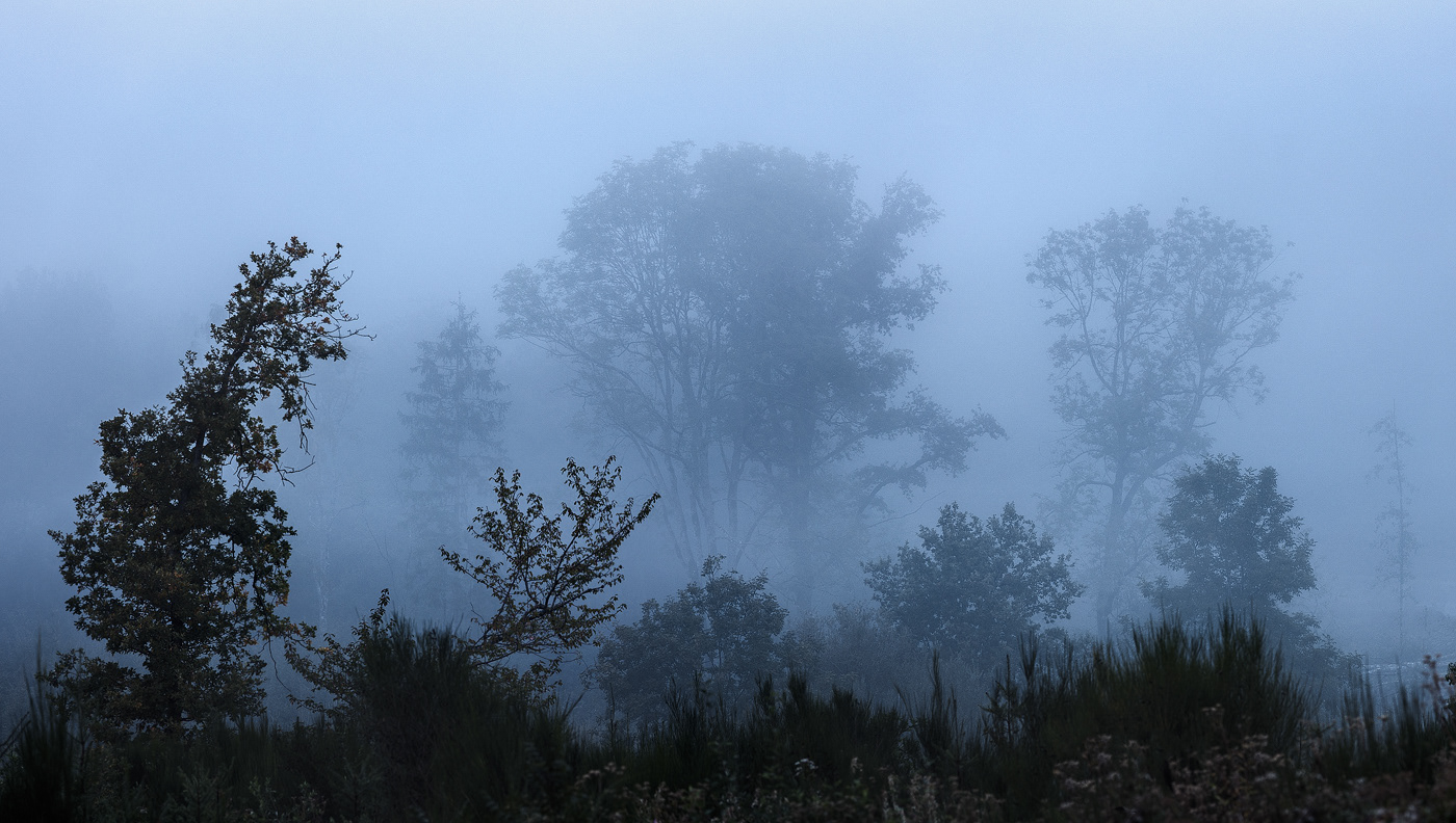 auvergne countryside fog forest Landscape mist Mystic Photography  woodland woods