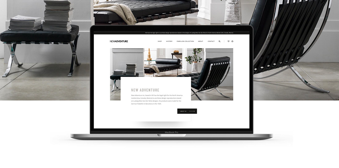 Website Responsive Web Design  ui design Interface minimal design van der rohe New York inspire