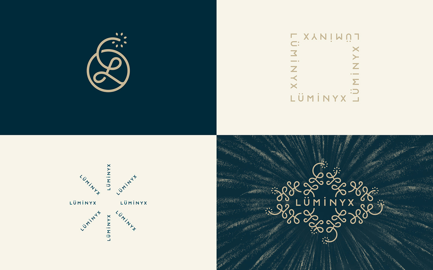 Logomarks and variations for Luminyx Branding