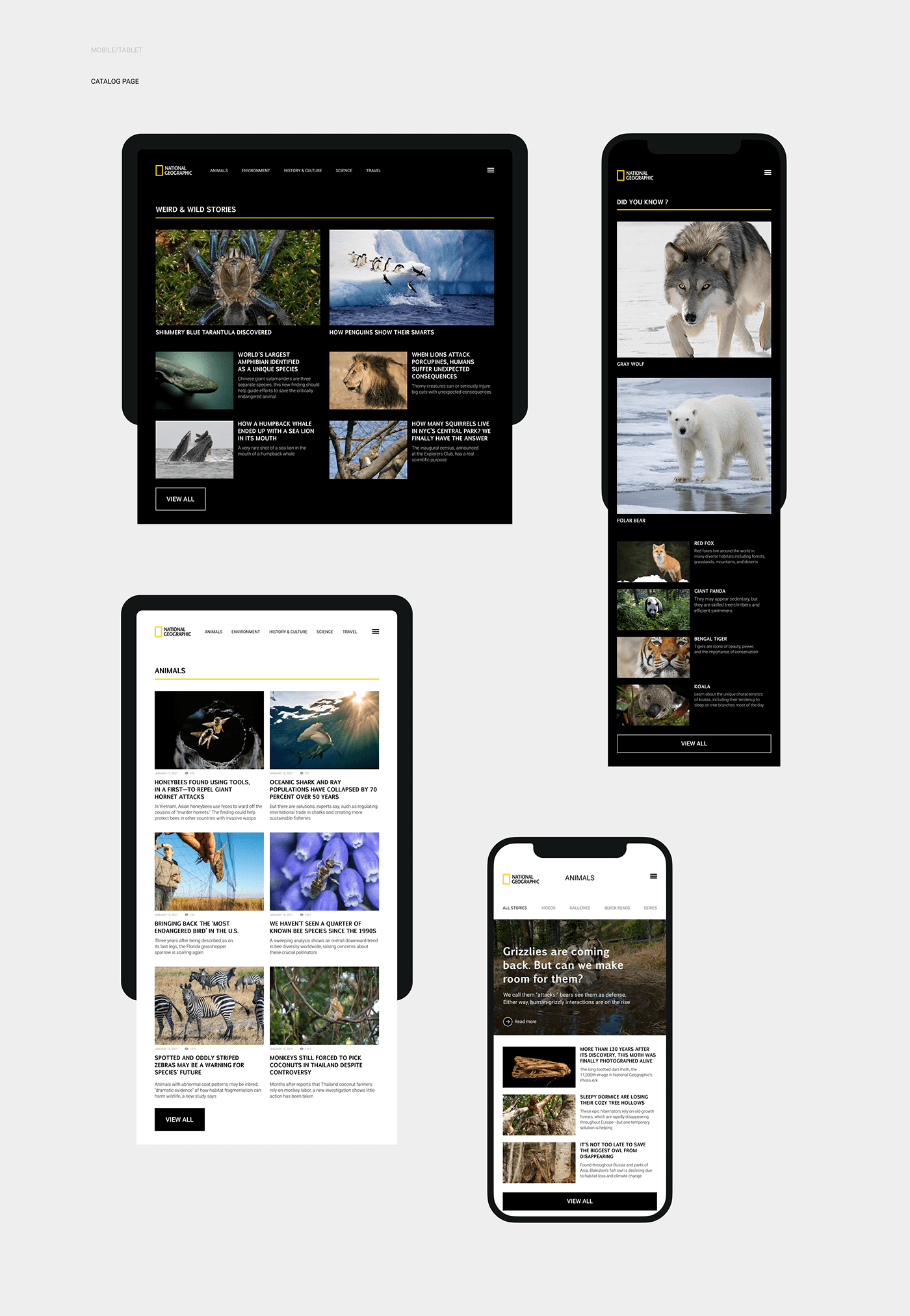 national geographic redesign