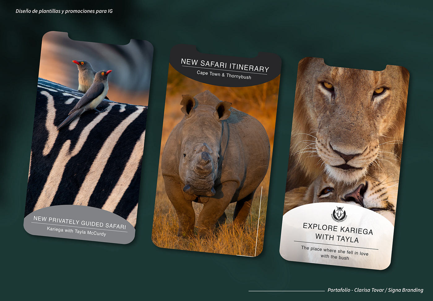 Africa logo Brand Design diseño gráfico Instagram template Instagram Templates plantillas para Instagram redes sociales safari safari branding Stories