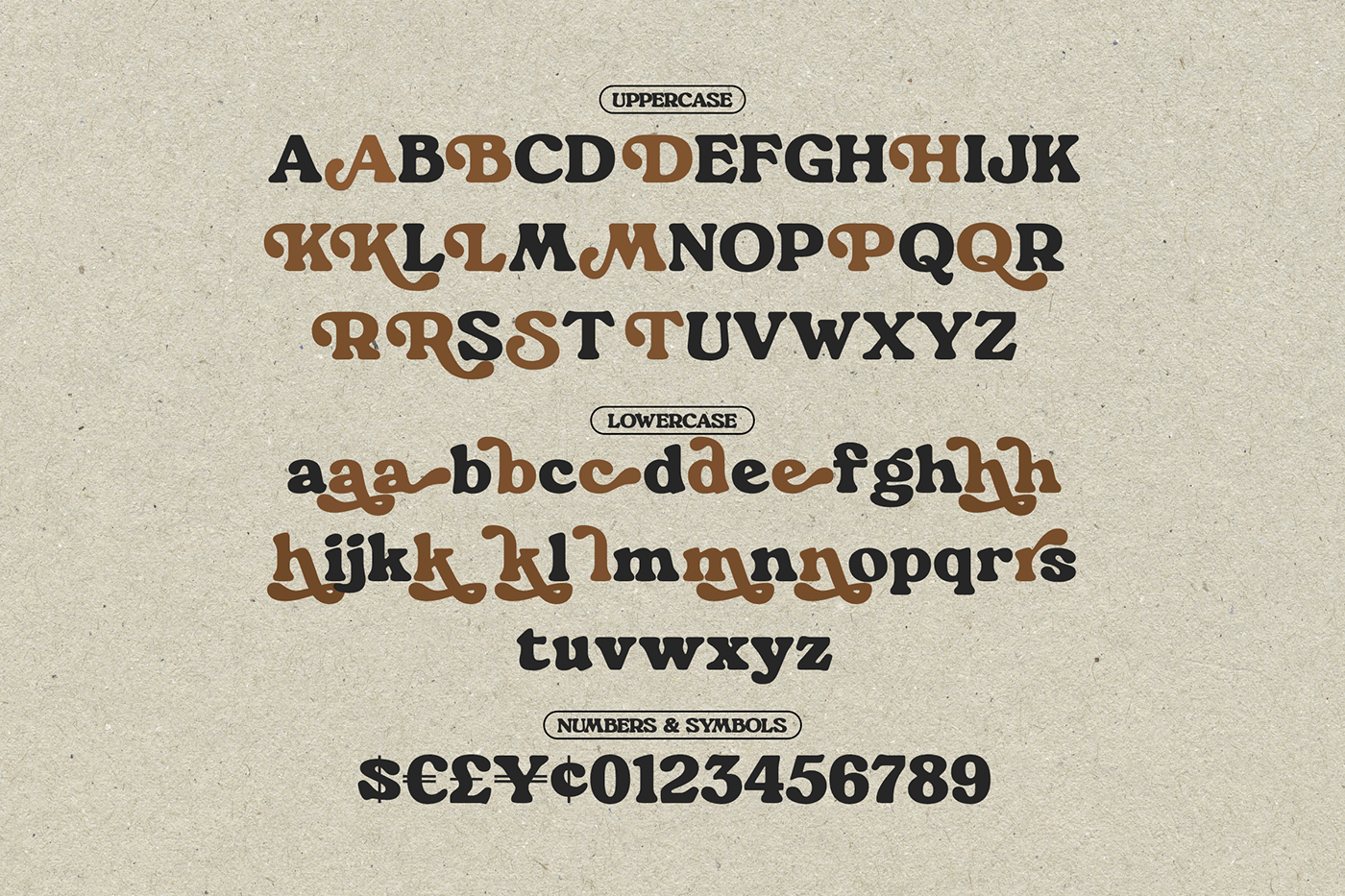 free Free font freebies vintage Retro serif logo brand identity Logotype typography  