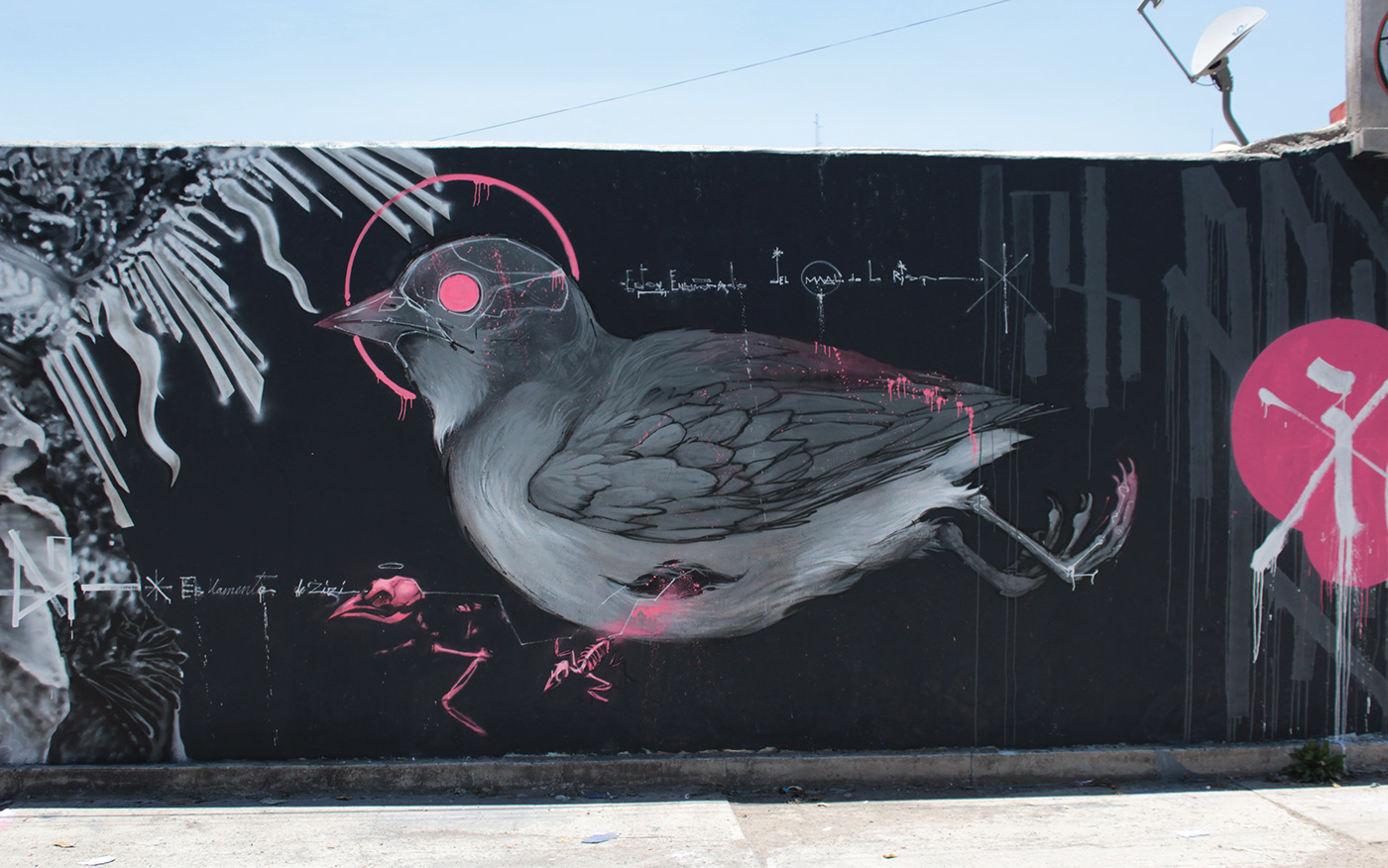 arte urbano portrait bird Graffiti Calligraphy   lettering blanco y negro
