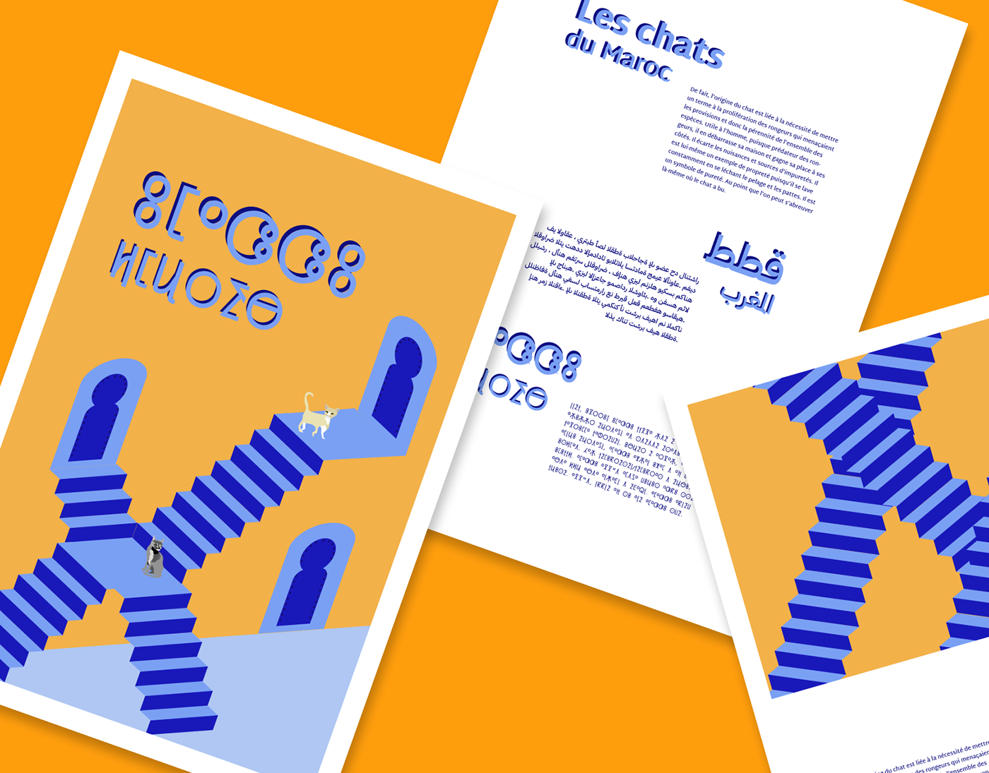 amazigh blue and orange cats font graphic design  ILLUSTRATION  Morocco multilingual tifinagh typography  