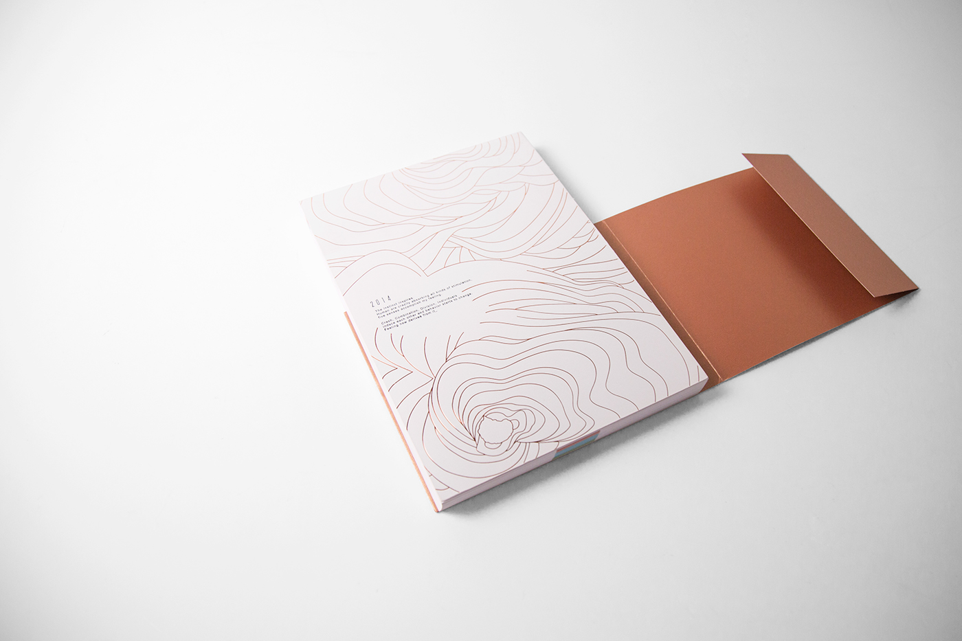 Layout graphic book design print