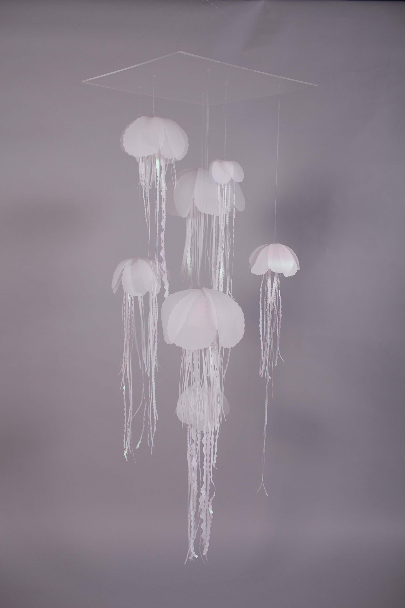 paper jellyfish Lamp colours light composition White Interior productdesign installation