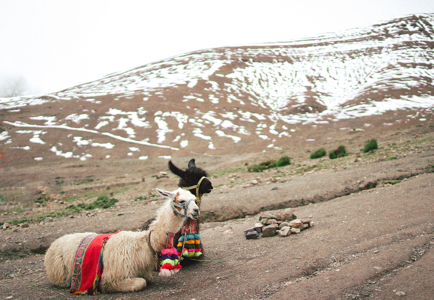 Andes peru portrait Canon cusco peru Landscape lightroom Nature Photography  Travel