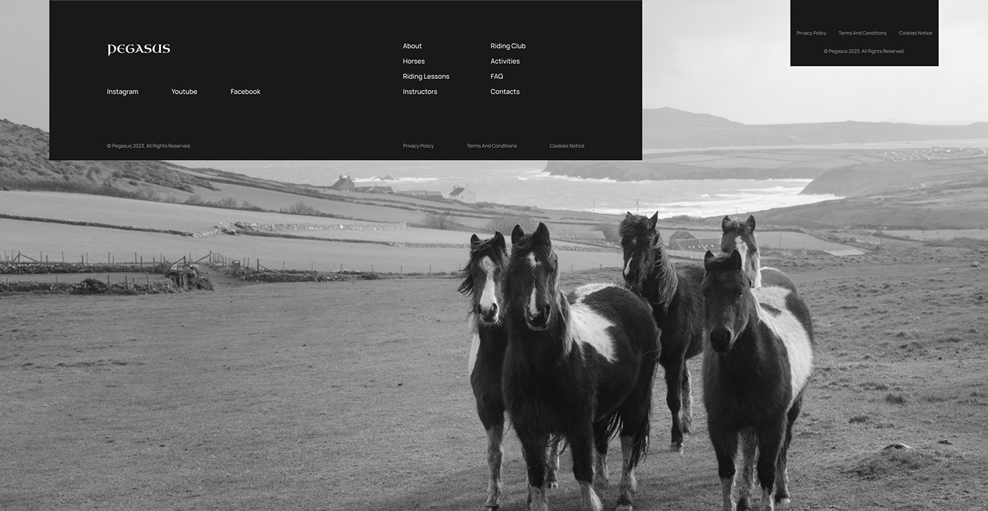 Website landing page ui design Web Design  prototype clickable prototype UI/UX horse pegasus designer