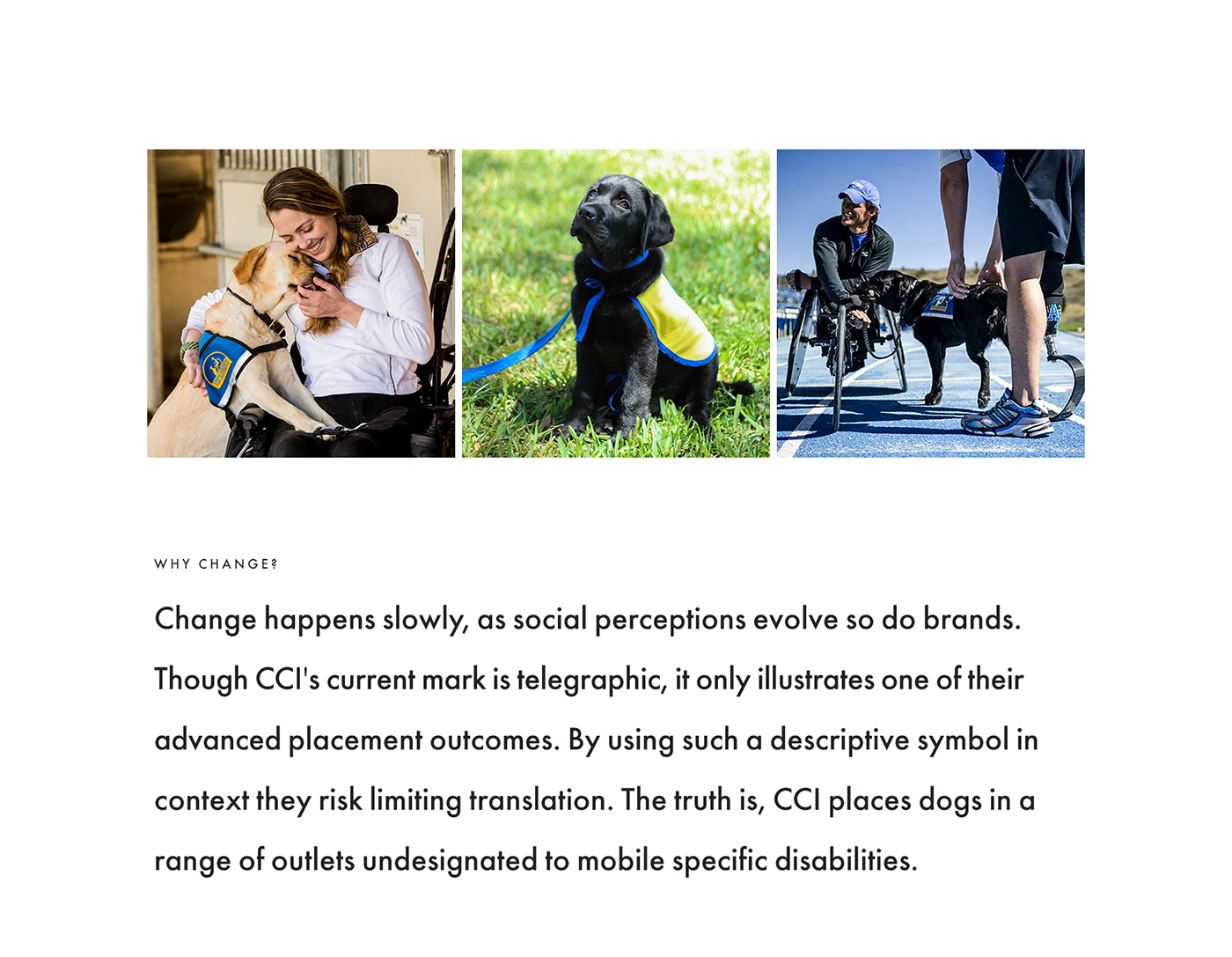cci canine companion Independence Rebrand guide dog Service Dog puppy dog disability handicap wheelchair non-profit organization comite