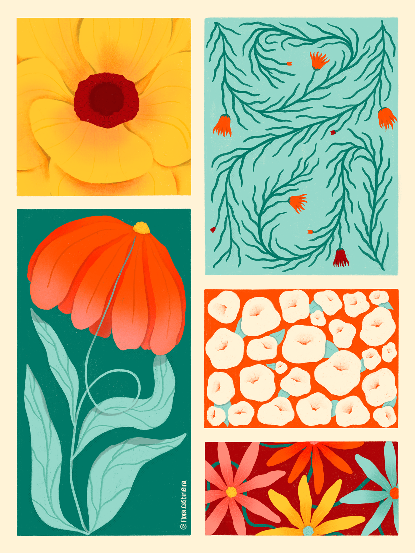 botanical illustration Digital Art  Flowers nature illustration plants poster Procreate