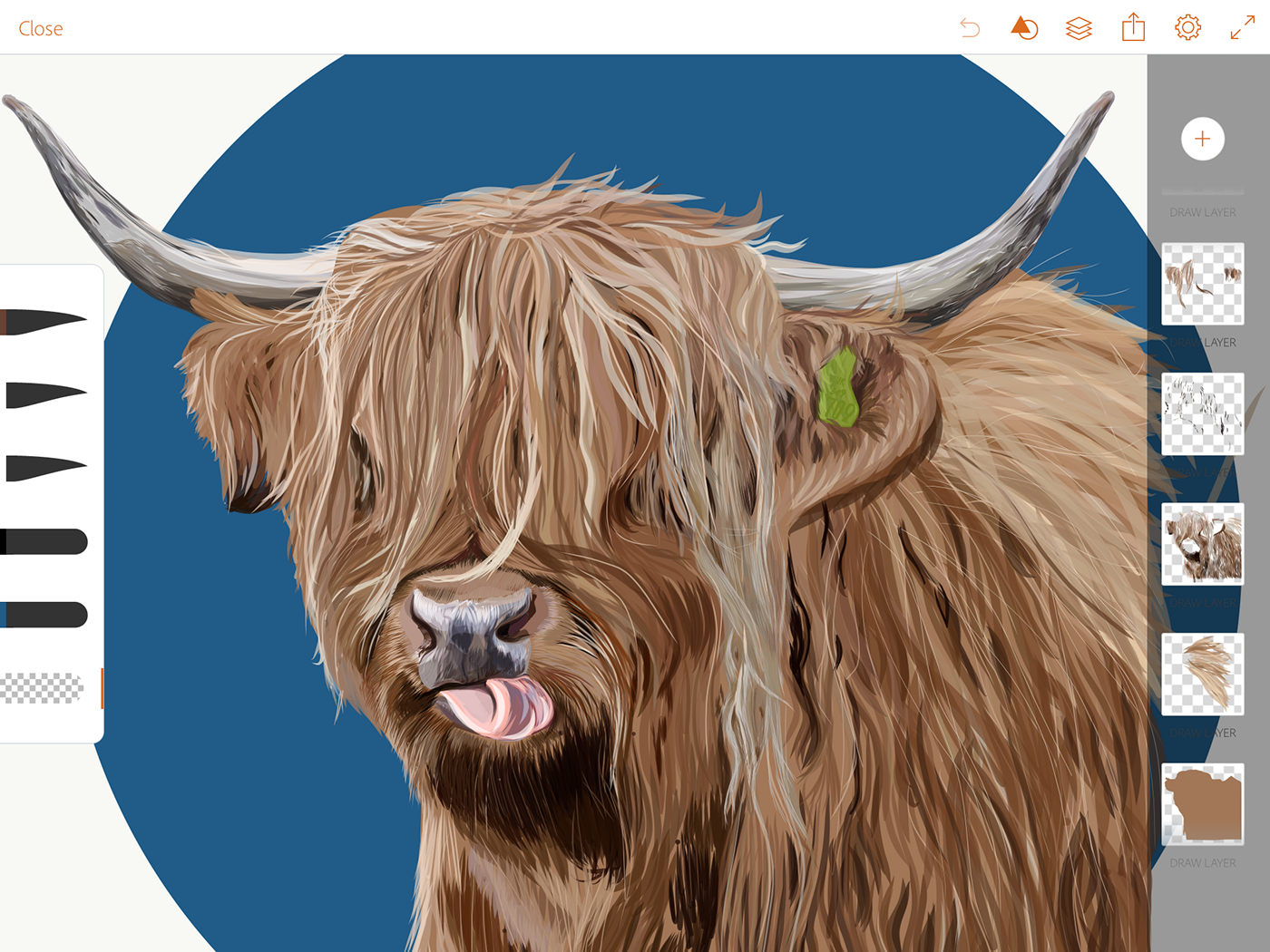 olbap olbapdesign olbap design cow highland farm animals ILLUSTRATION  Digital Art  adobe draw scottish